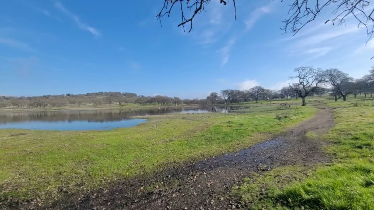 National Parks Princess is live!