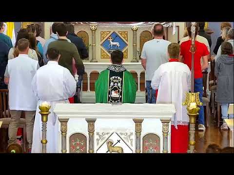 29° Domingo do Tempo Comum - 19/10/2025