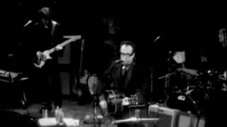 Elvis Costello - Blame It On Cain (Live)
