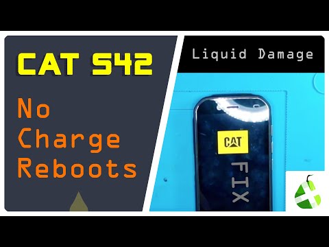 CAT S42 Waterdamage Repair? Not Charging, Reboots Only For Data