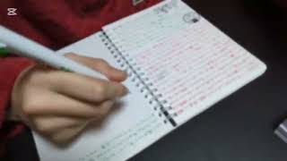 集中するために日記を書くのを録画してたから見て