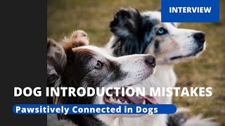 Dog-Dog Introduction Mistakes