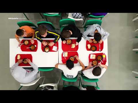 Scoala 1 - Primaria Orasului Voluntari