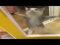 Sni Snap Snapi Videomega Ru 1