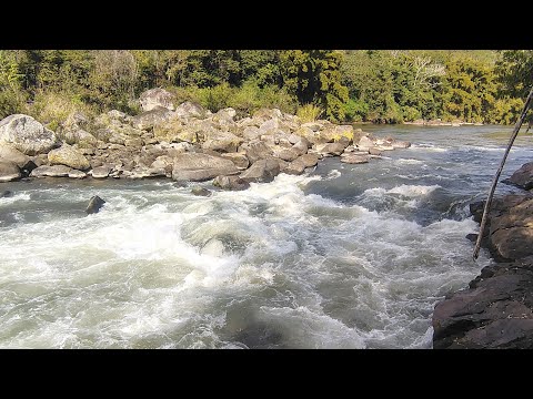 📍 Corredeira do Sulivan - Rio Ribeira 🇧🇷