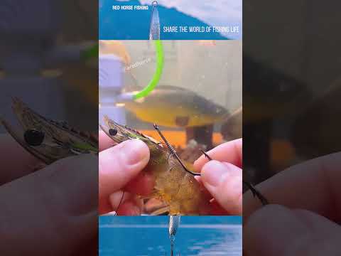 This type of fish hook can prolong the survival time of shrimp #fishing#fishinglife