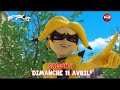 Miraculous Season 4 Promo Tfou