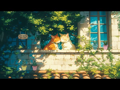 Lofi With My Cat || Sweet Summer Day 🍃💕Lofi radio ~ Lofi cat 🎼 Music Focus Relaxation, Healing