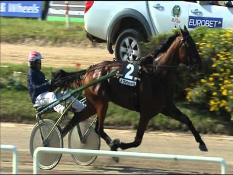 Trotto 30/04/2016 - 6 ° Corsa Batteria B