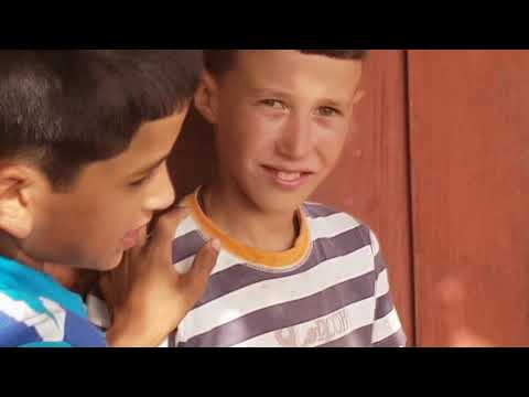 The Journey with the All Blacks and Luke Ray Lacey