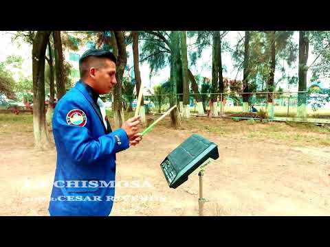 LOS DELFINES DEL AMOR - SALAY CHISMOSA 2019