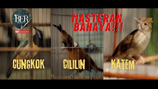 Download lagu CUNGKOK CILILIN KATEM ❗️❗️ MASTERAN BAHAYA ❗️❗️ 3 in 1 TEMBAKAN BURUNG JUARA 🔴 #masteranmuraibatu mp3