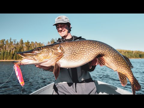 Giants of the North. How to Catch Big Spring Pike (5 Go-To Baits)