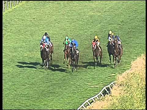 Galoppo 20/02/2016 - 3° corsa