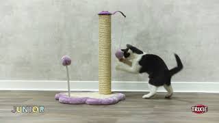 Hračky pro psy, JUNIOR plyšový medvídek šustící 28cm