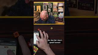 Dogs can join in #boardgames too! #tallyup #dogvideos