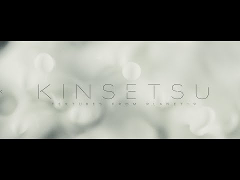 Kinsetsu (macro experiment short film)