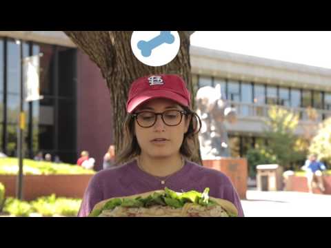 RoverTown Student Discounts Video