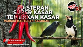 Download lagu 🔴 Live Jalak Suren Tembakan Kasar Panjang vs Srigunting Abu Abu Roll Speed Tajam Greja Tarung mp3