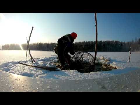 Made rysillä @ Kala-Antin matkassa