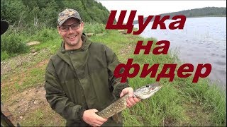 Ссылка