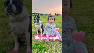 犬の隣でテンション高めの一歳児👶 【こむこまつり】 #shorts