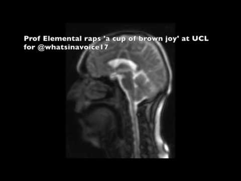 Prof Elemental raps "a cup of brown joy" in the UCL BUCNI scanner