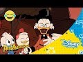 Patoaventuras Conoce A La Familia MCPato Disney Channel Oficial