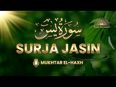 Surja Jasin | Recitim i mrekullueshëm i Kuranit | Qetëso zemrën me Kuran