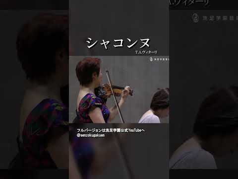 シャコンヌ