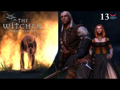 The Witcher [Enhanced Edition] Episode 13 : Of Monster & Man - The Beast