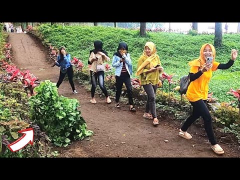 happiness-is-simple-shock-prank-prank-manusia-pohon