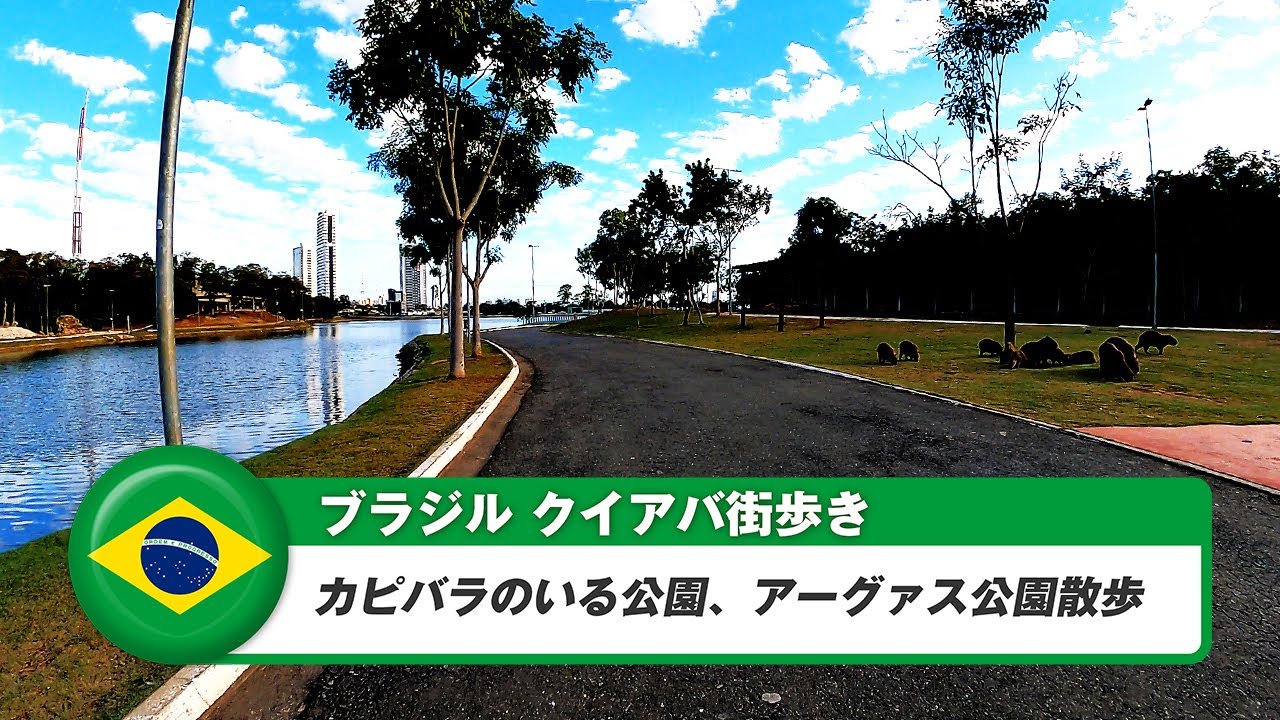 【ブラジル】クイアバ⑮アーグァス公園