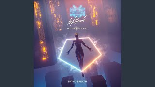 Download lagu Dying Breath mp3 Download lagu Dying Breath mp3