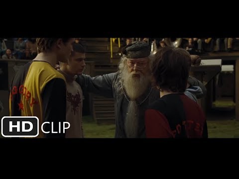 The Third Task | Harry Potter and the Goblet of Fire