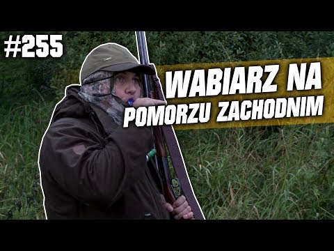 Darz Bór odc 255 - Wabiarz na Pomorzu Zachodnim.