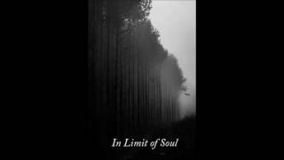 Under The Gray Sky - In Limit Of Soul