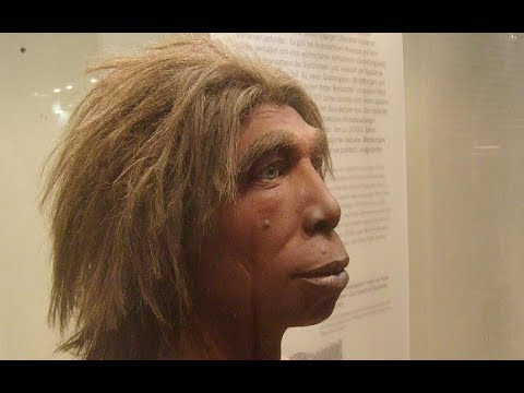 (Doku 2017!) Die Anfänge der Menschheit (1/3) Vom Affen zum Menschen HD