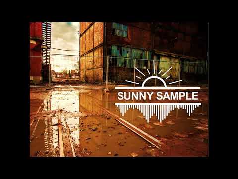 Enter the Sunny Realm (feat Madflowas) - Sunny Sample