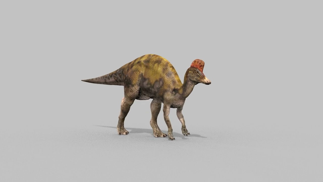 Real Animated Corythosaurus HD 3D Model