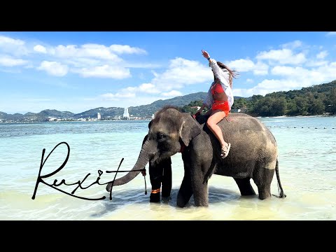 Ruxit - N-ai bilet | Official Video