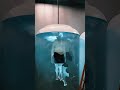 "Preserving Life After Death: The Science of Cryonics Explained!"