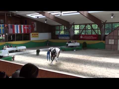 CVI Krumke 2013 - Corinna Knauf Technik