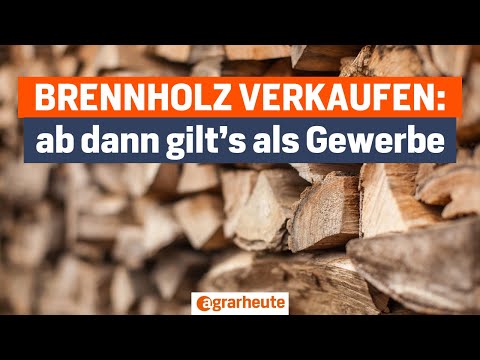 Brennholz verkaufen als Landwirt – Wann der Holzhandel zum Gewerbe wird