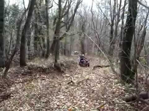 62.DEČKI  ŽUTNICE - Susret sa divljim svinjama oko 250 kg