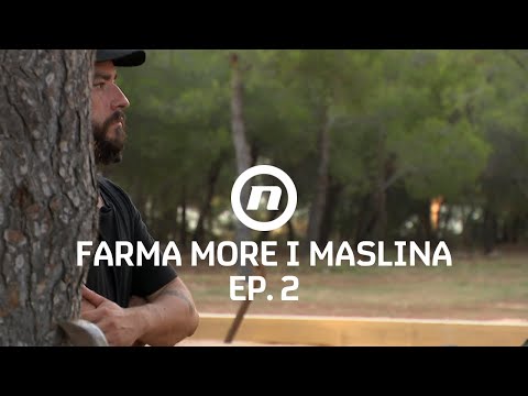 Jani se nije uklopio? - Epizoda 2 | Farma More i Maslina
