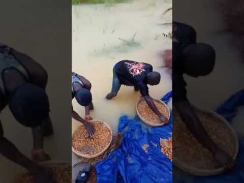 Mining of diamond, at my site in kono ,+232 80653155