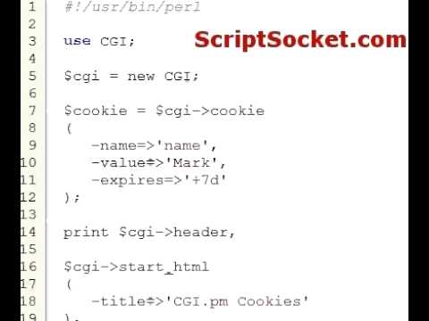 Perl Tutorial 60 - CGI.pm - Set & Read Cookies
