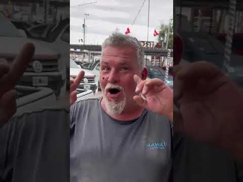 En el mercado automotor hay autos que todos quieren tomary otros que nadie quiere mirar.