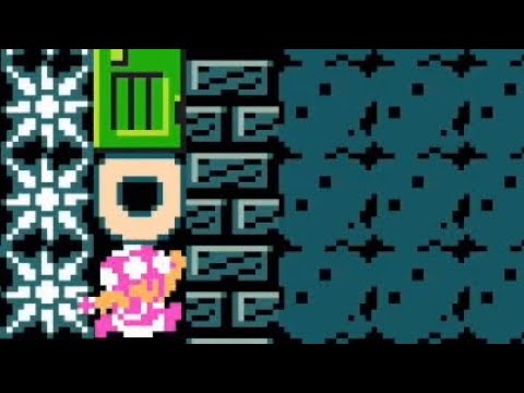 BIPED ROTISSERIE ~ Super Expert Endless Challenge 🍄 Super Mario Maker 2 #agk 😶 No Commentary